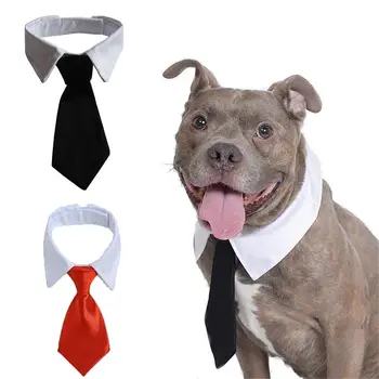 Модерен Красив Регулируема Смокинг, за да се грижи за кучета и котки, Вратовръзки-пеперуди, Аксесоари за домашни любимци, Бяла яка, вратовръзка за кучета, Официален вратовръзка