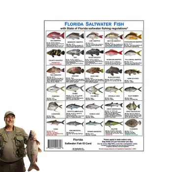 Идентификация карта морска риба Флорида Цветни снимки на Правилата води във Флорида Идентификация картичка на морска риба За Флорида